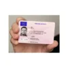 Buy Icelandic Driver's License online
