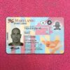 Buy Maryland Driver License and ID Card