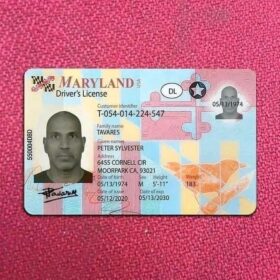 Real Driver License