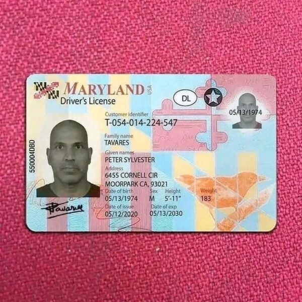 Buy Maryland Driver License and ID Card