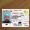 Buy California Driver License and ID Card