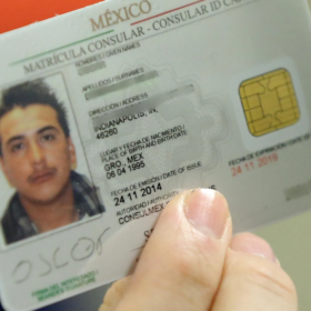 Buy Mexican ID Cards online