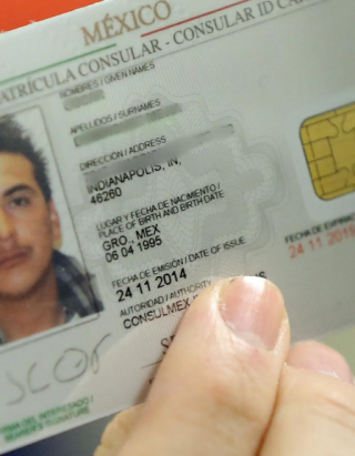 Buy Mexican ID Cards online