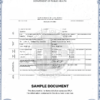 Buy Birth Certificate Online