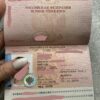 russian international passport v0 87tvp3ycc93g1
